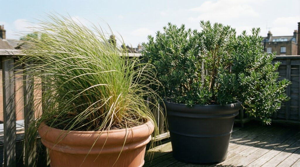 Создание уютной террасы/патио: освещение, текстиль, растения, зонирование - иллюстрация